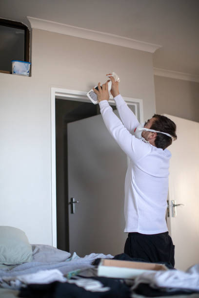 Best Emergency Mold Remediation  in Interlachen, FL