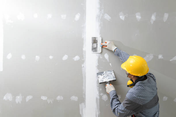 Best Water Damage & Mold Remediation  in Interlachen, FL