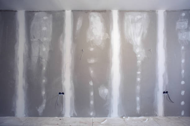 Best Mold Damage Restoration  in Interlachen, FL